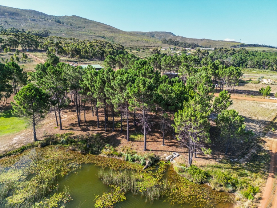 Commercial Property for Sale in Bot River Western Cape